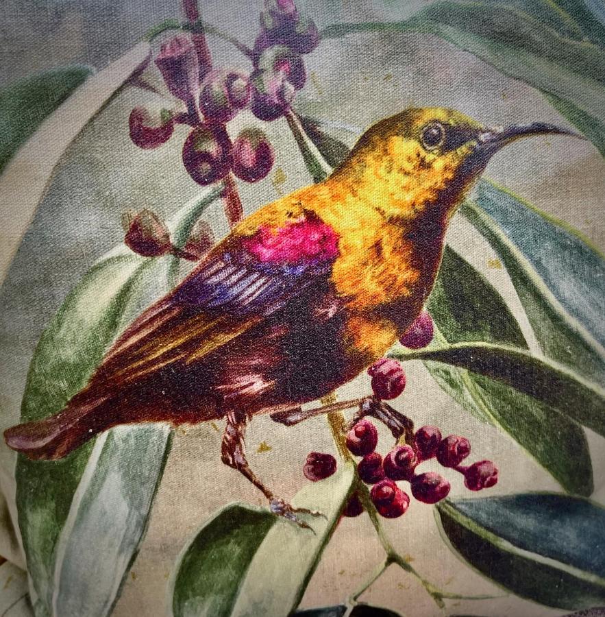 דירות פלטנברג ביי The Sunbird מראה חיצוני תמונה
